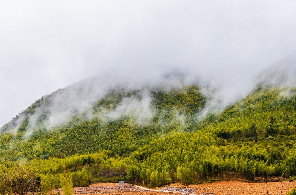 风光 自然 摄影 自然风光  雾气 云雾 旅行 