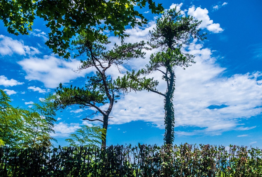 蓝天白云 天空云彩 自然 风光 摄影 旅行 旅游 蓝天