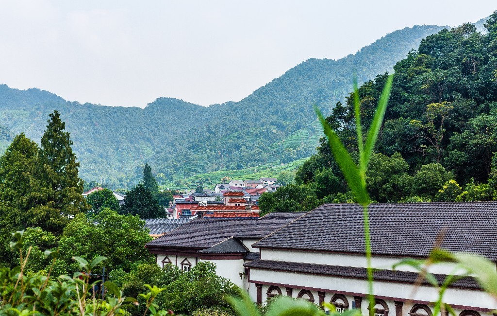 茶园风光 自然 风光 摄影 自然风光 龙井茶园 建筑 茶趣亭 亭子