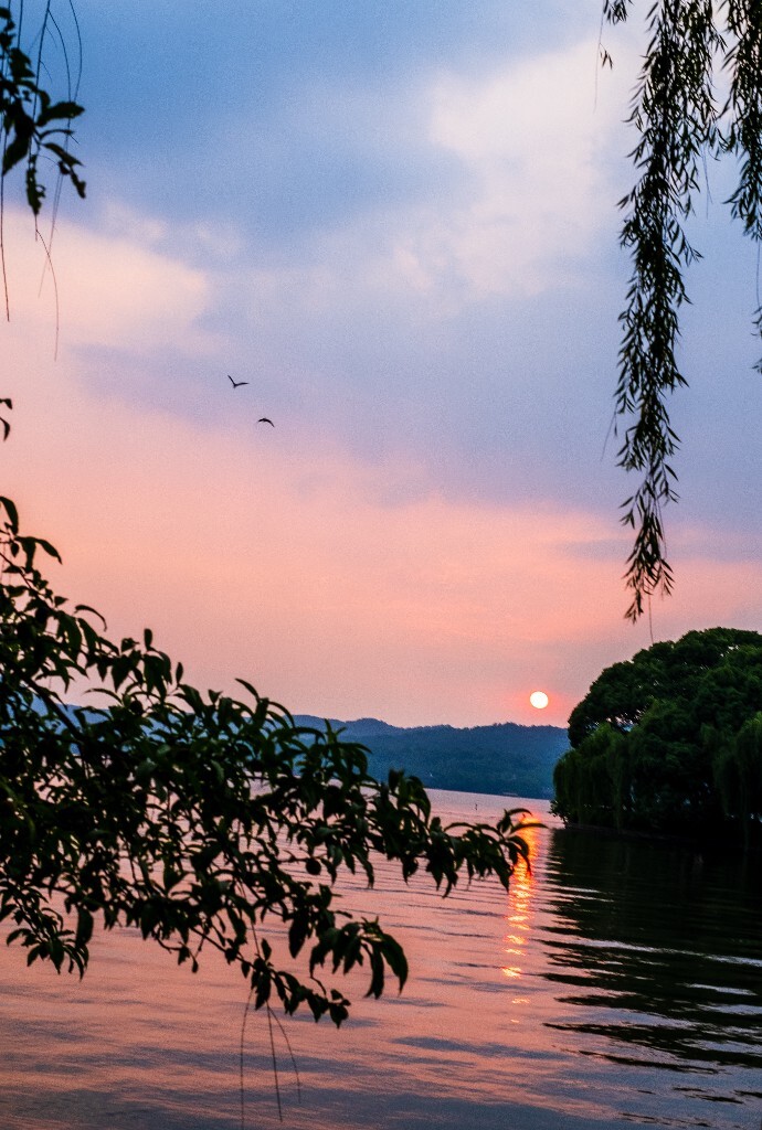夕阳 西湖夕阳 风光 自然 日出日落 阳光 鸟 夕阳余晖 夕阳无限好 旅行