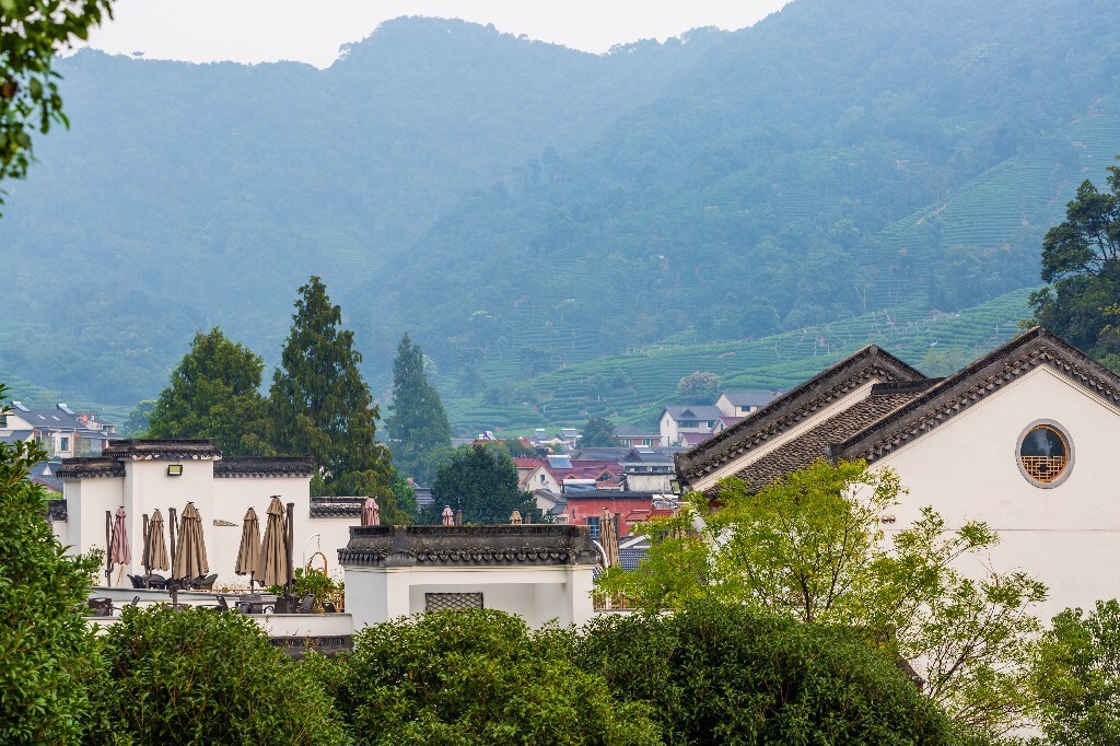 建筑 茶园风光 自然 风光 茶园 梅坞 摄影 旅行 梅坞庄园