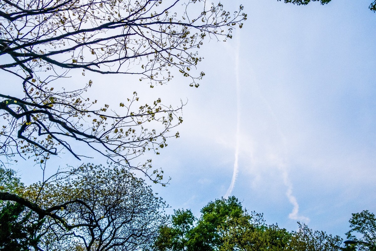 天空 云彩 自然 风光 摄影 素材 树木 旅行 树