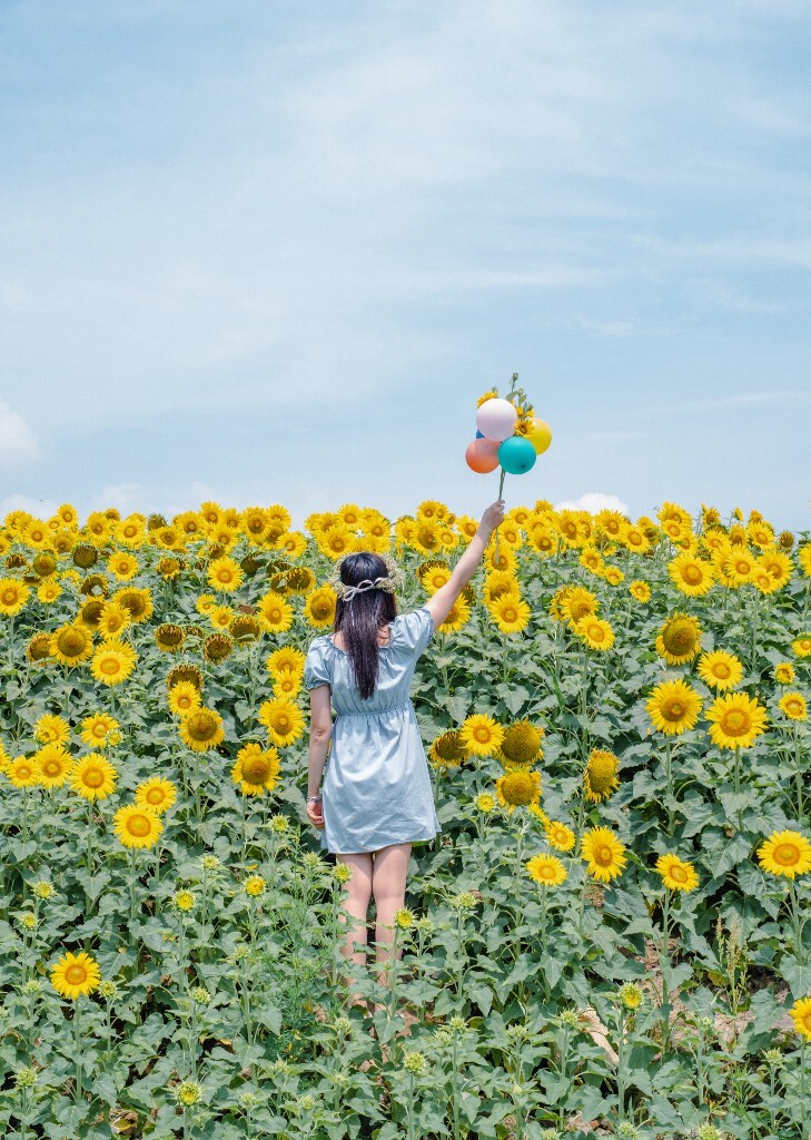 向日葵 花海 风光 自然 摄影 背影 转日莲 花儿 旅行 街拍 人像 美女