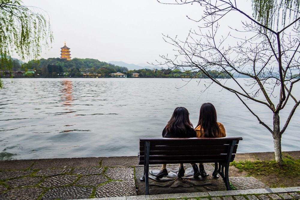 柳树 风光 摄影 自然 旅行 西湖风光 西湖柳树 柳叶 叶子 植物 背影 雷锋塔 人文
