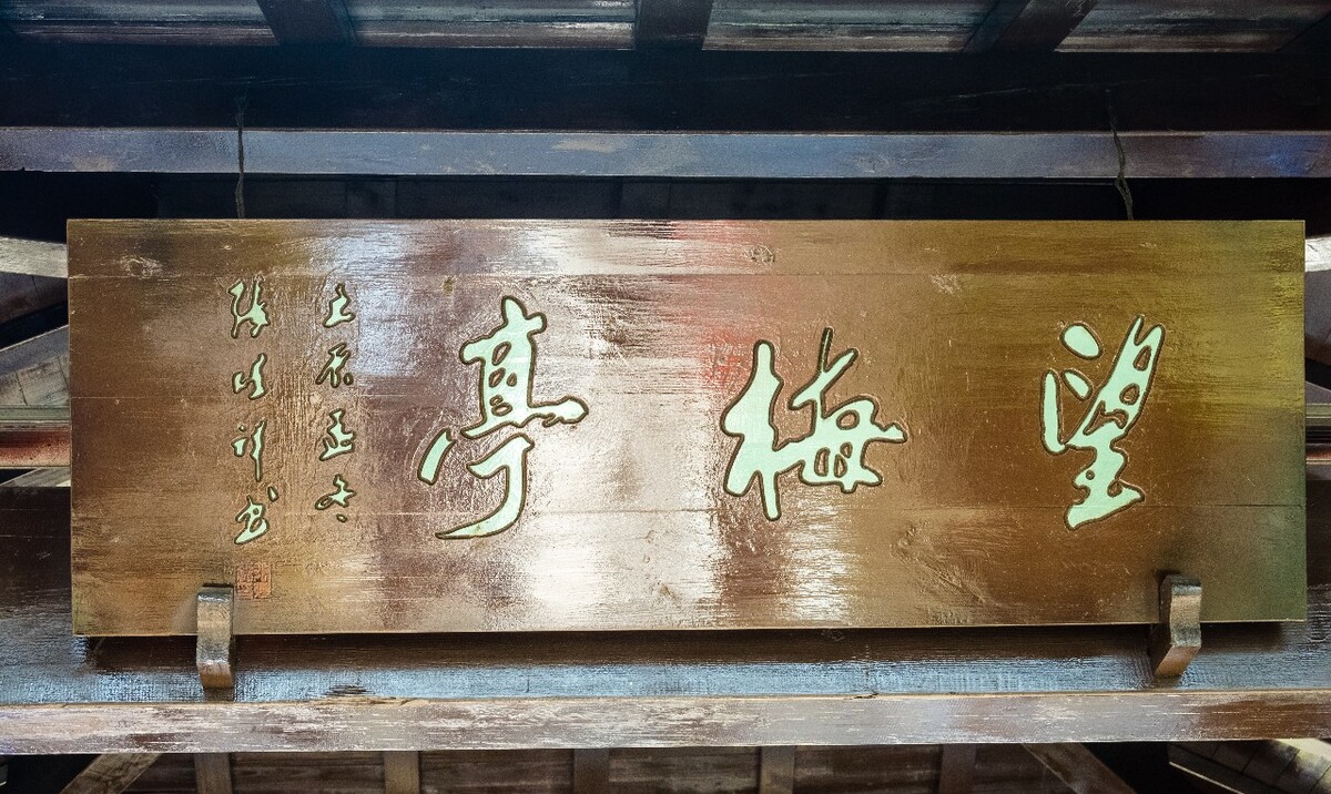 梅花 植物 花 花朵 梅花盛开 盛开的梅花 蓝天白云 花儿 建筑 望梅亭