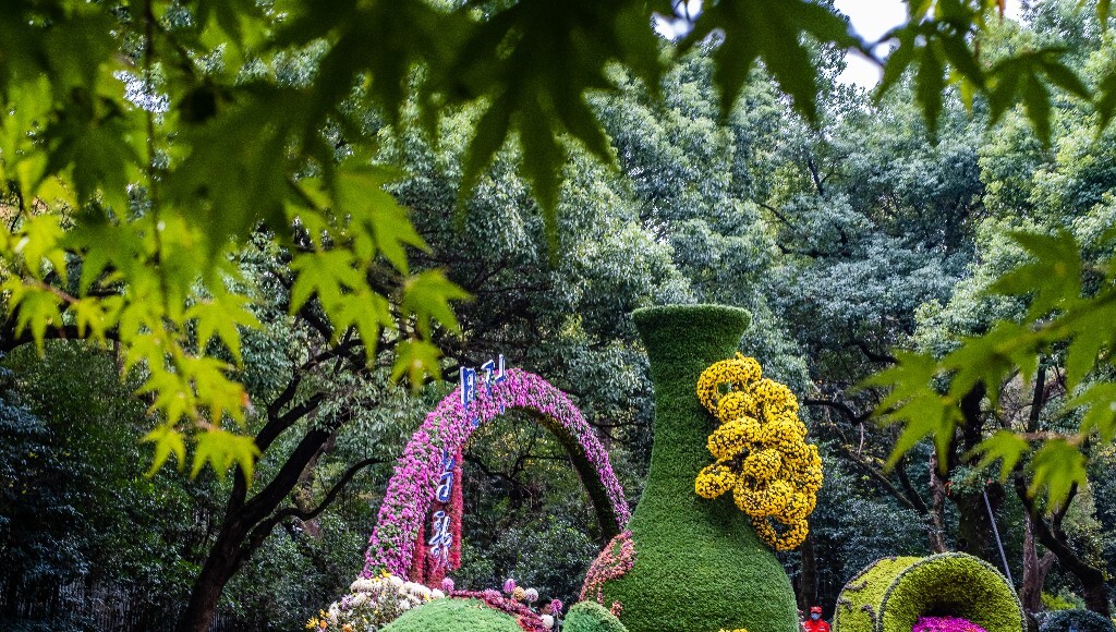 菊花 寿客 金英 黄华 秋菊 陶菊 日精 女华 延年 隐逸花 家菊 花儿 盛开的菊花
