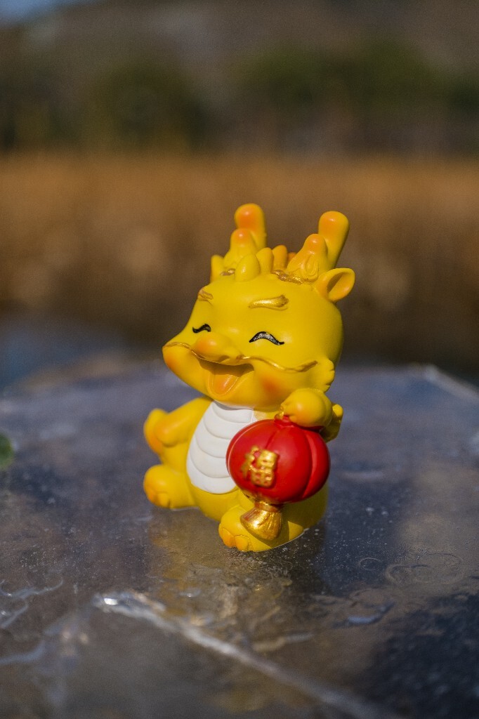 龙 摄影 风光 自然 福龙 西湖 西湖风光 龙在相湖 龙年拍龙 冰 西湖的冰 自然风光