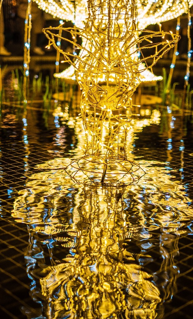 圣诞素材 圣诞老人 圣诞氛围 素材 摄影 旅行 圣诞树 松果 礼袋 灯光 倒影 街拍 色彩 花环 圣诞球 倒影 街拍 色彩
