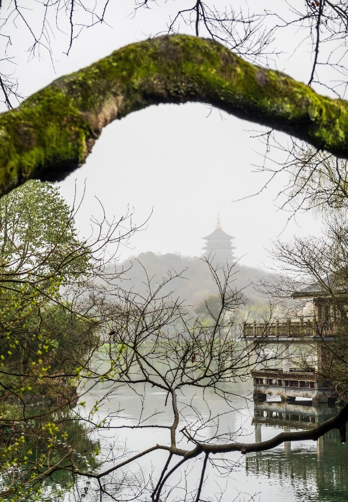 西湖 风光 旅行 雷锋塔 自然风光 图片 摄影