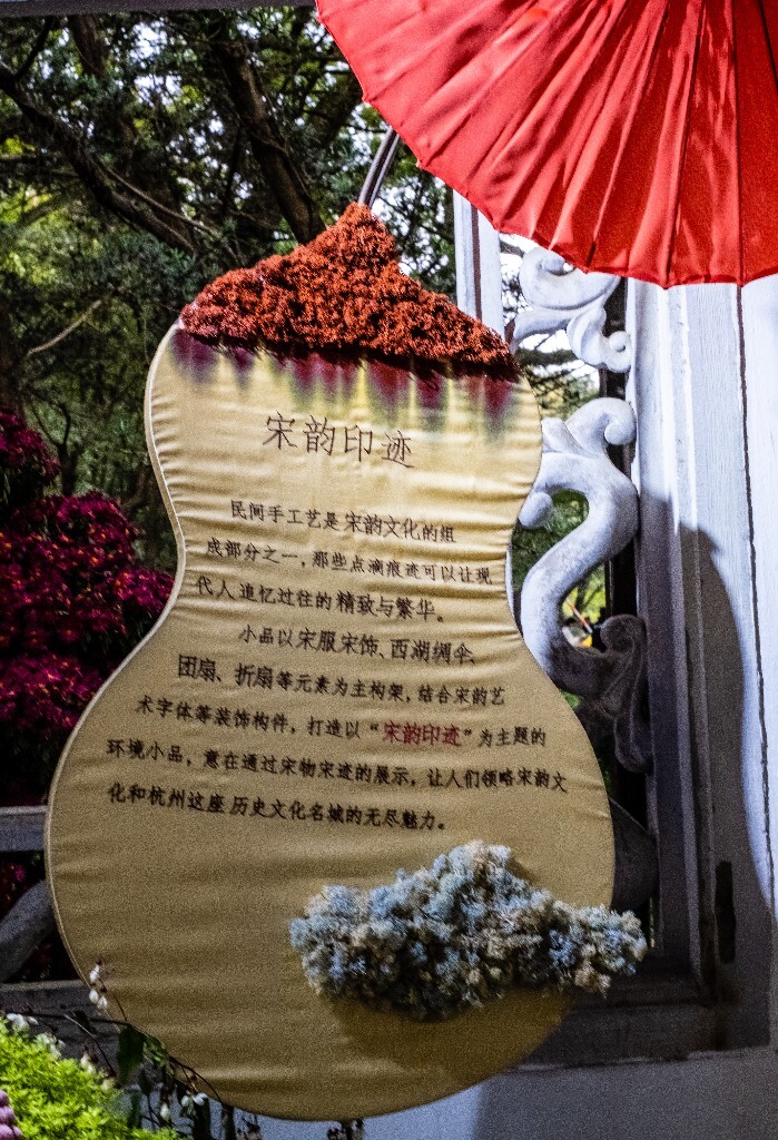菊花 寿客 金英 黄华 秋菊 陶菊 日精 女华 延年 隐逸花 家菊 花儿 盛开的菊花