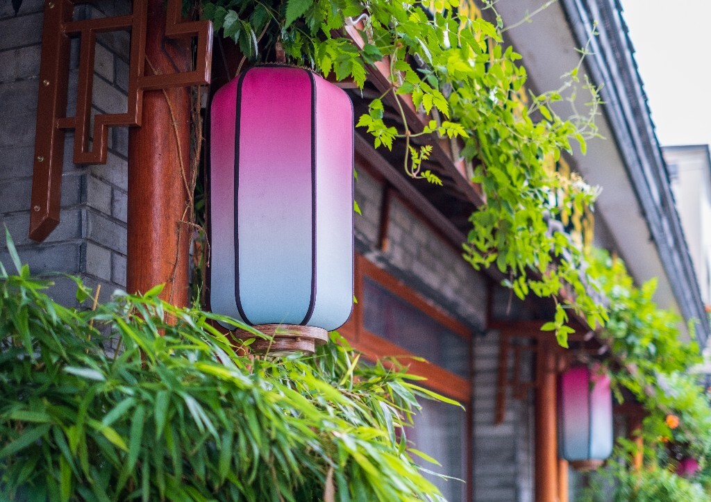 建筑 灯笼 风光 植物 摄影  街拍 自然   