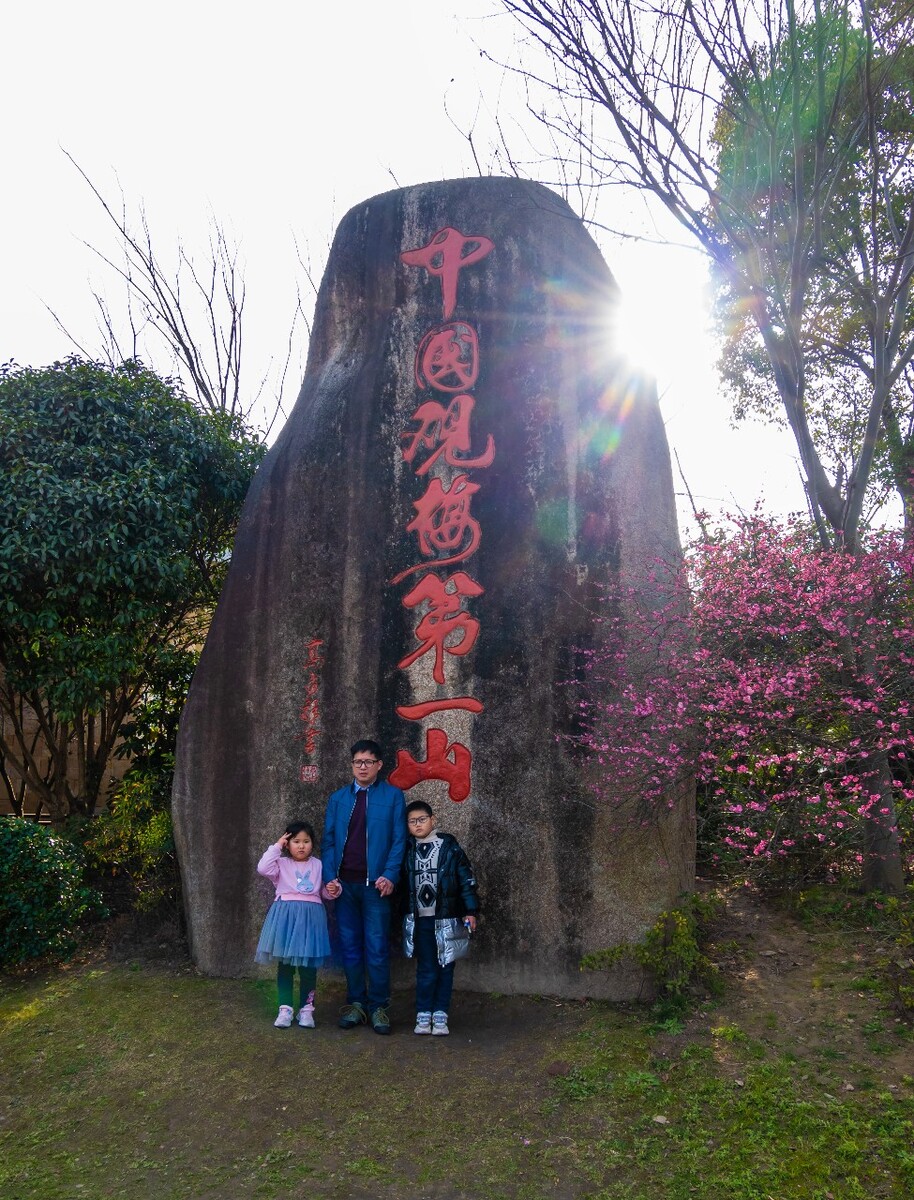 赏梅