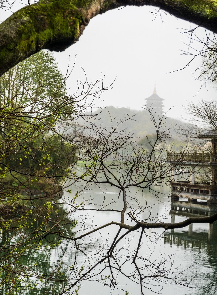 西湖 风光 旅行 雷锋塔 自然风光 图片 摄影