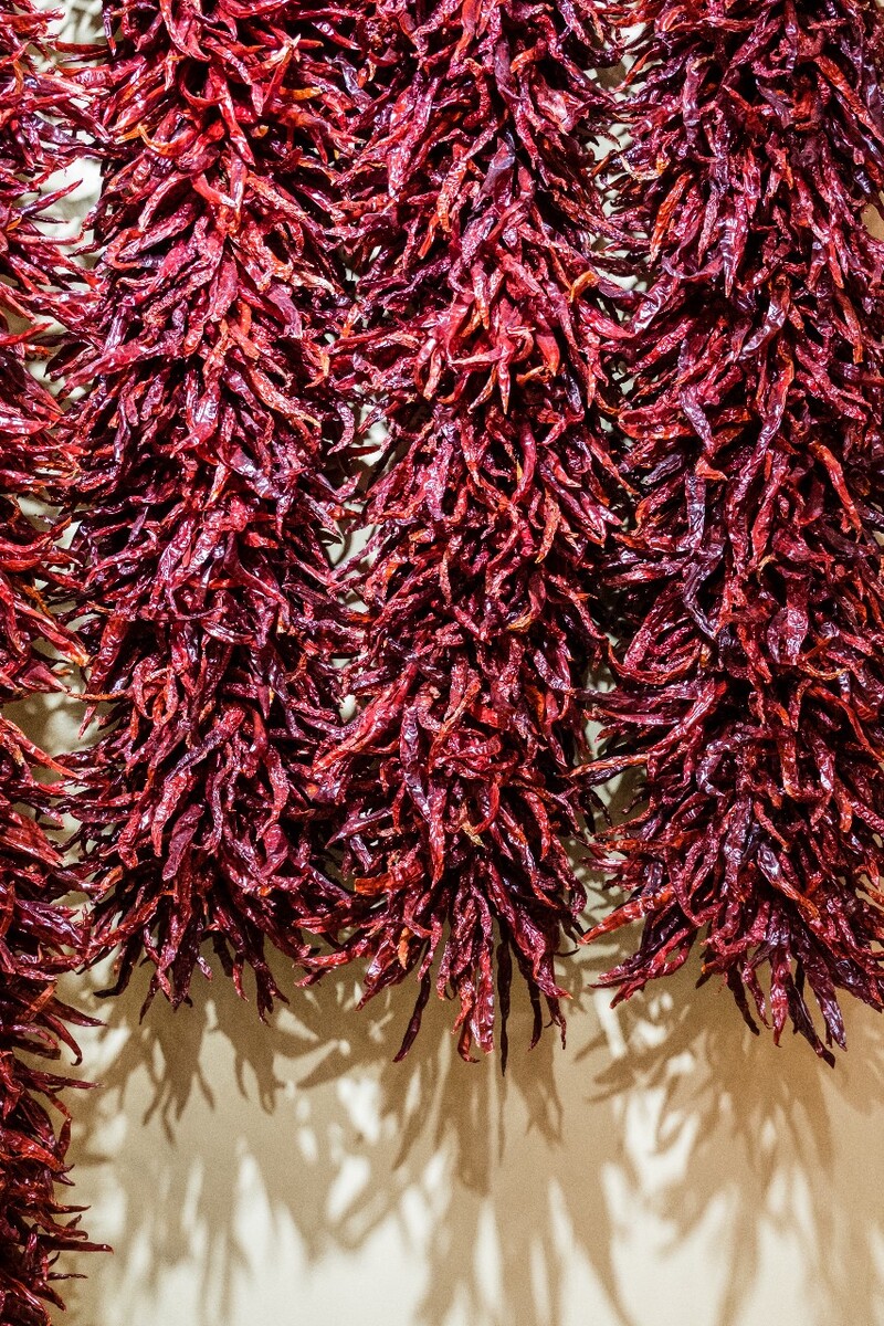辣椒 干辣椒 食 物 调味料 自然 旅行 城市 颜色 调味品 摄影