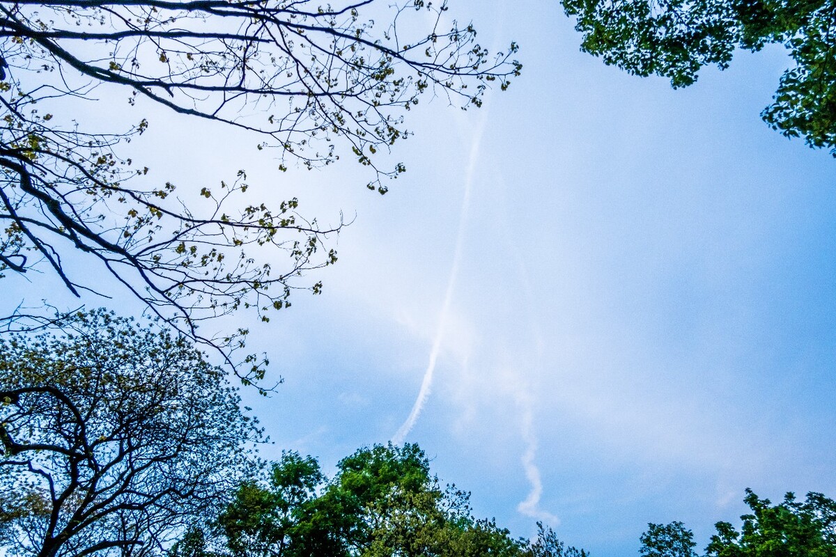 天空 云彩 自然 风光 摄影 素材 树木 旅行 树