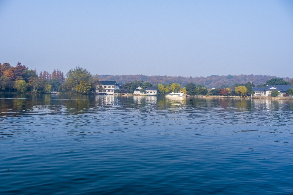 西湖水鸟 西湖风光 风光 西湖 风景 自然 湖水 图片 摄影