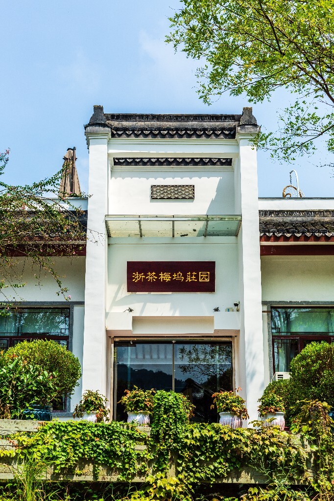梅坞问茶 茶园 龙茶园 茶文化 风光 摄影 自然 旅行 浙茶梅坞庄园