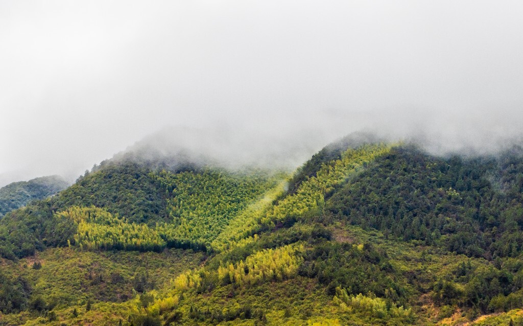 风光 自然 摄影 自然风光  雾气 云雾 旅行 