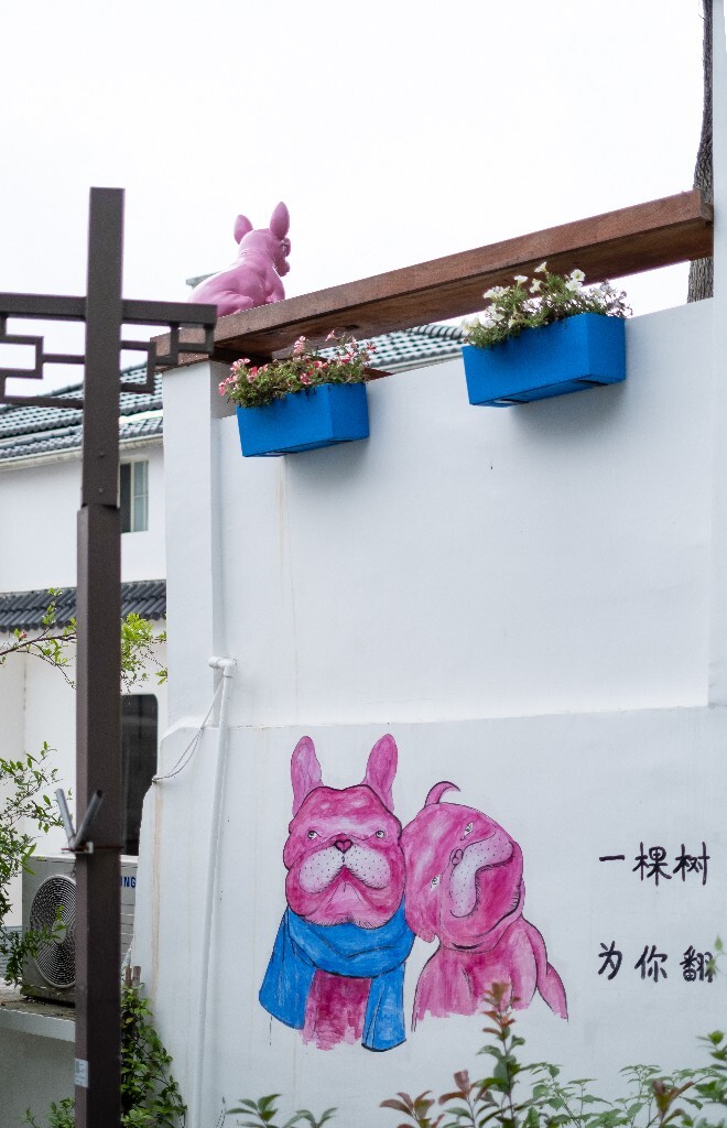 一棵树 一朵云 为你翻山越岭