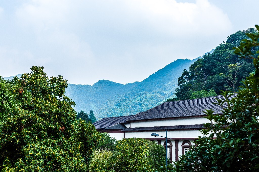 茶园风光 自然 风光 摄影 自然风光 龙井茶园 建筑 茶趣亭 亭子