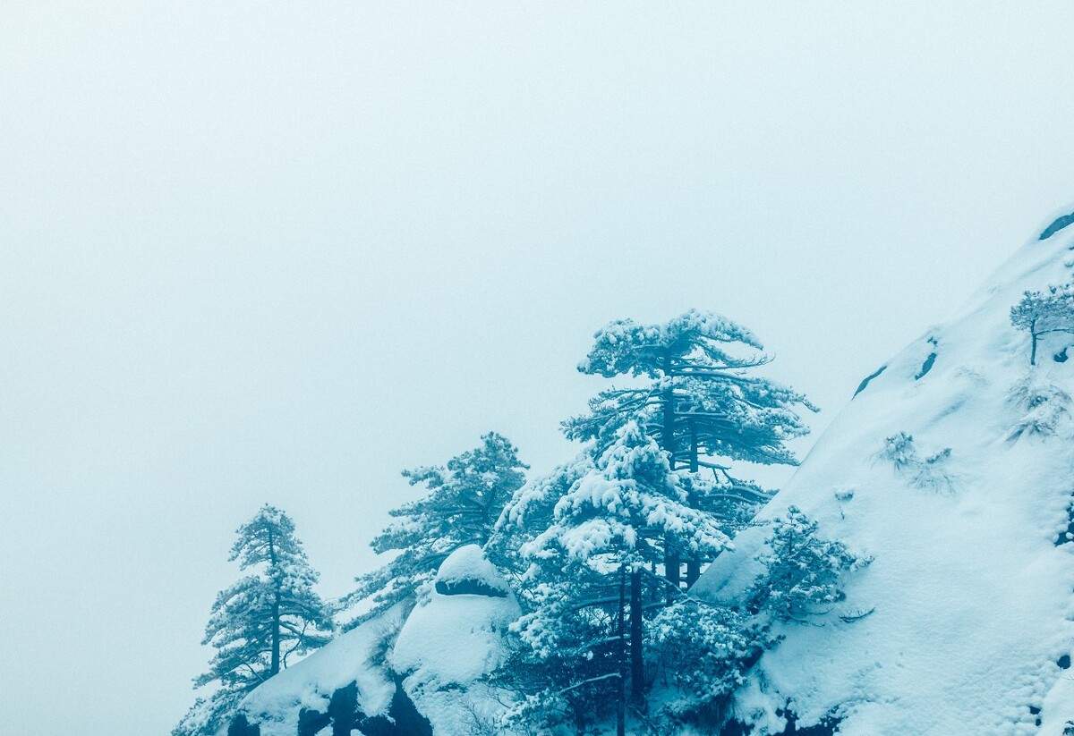 雪景 大自然 自然 风光 黄山雪景 摄影 银妆素裹 千里冰封 万里雪飘 旅游 树枝上的雪 森林雪景