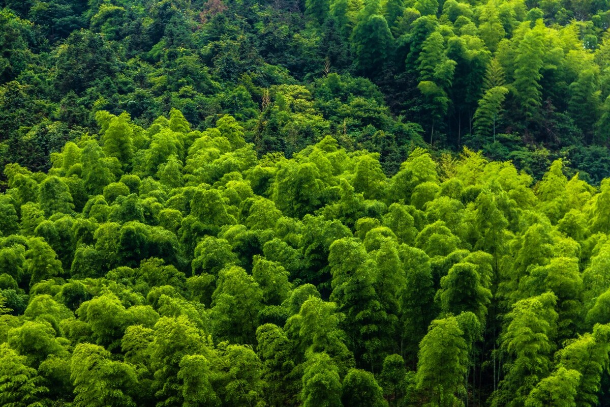 风光 山峰 自然 风景  天空 摄影 旅行