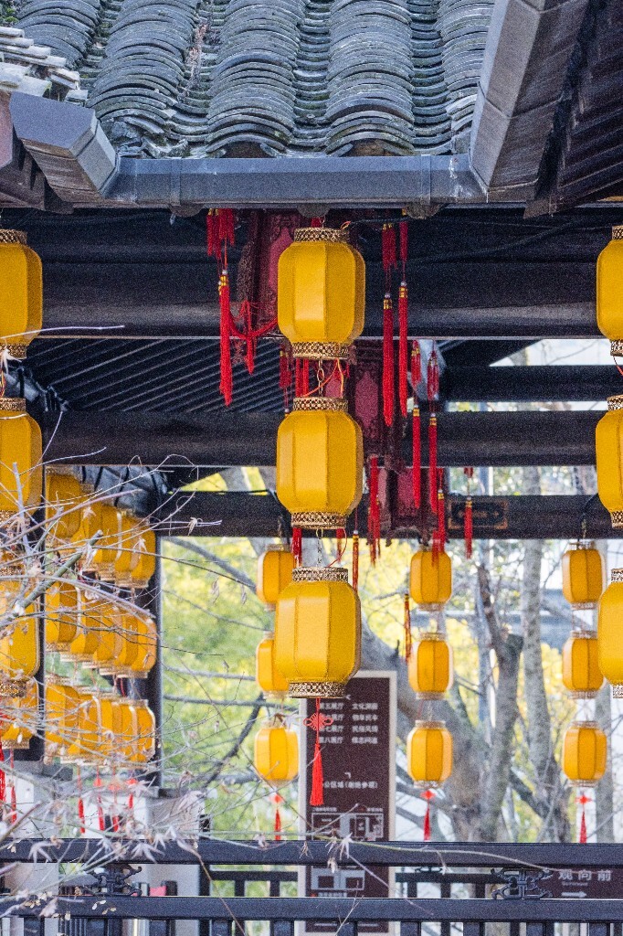 灯笼 旅行 街拍 灯 黄色的灯笼 色彩 建筑 氛围 过年