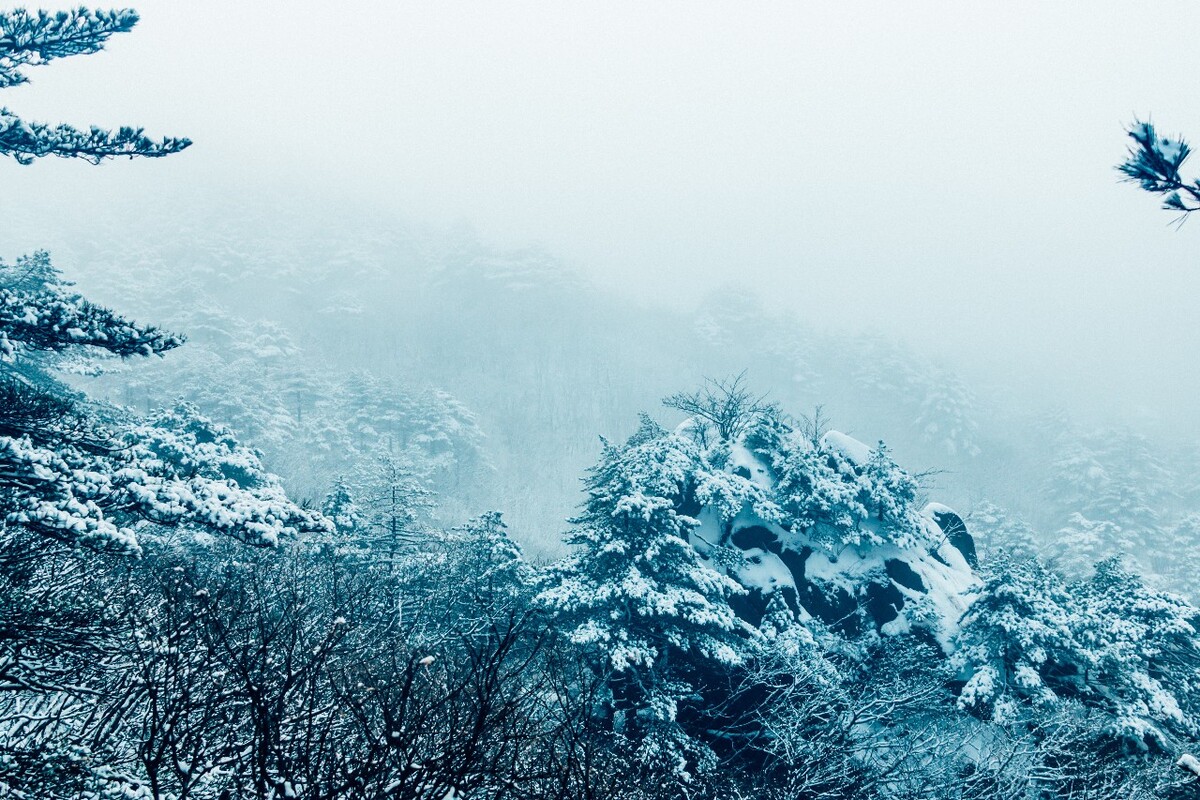 雪山 雪景 大自然 自然风光 银妆素裹 万里雪飘 黄山雪景 黄山 雪后的黄山 旅游 旅行 森林雪景