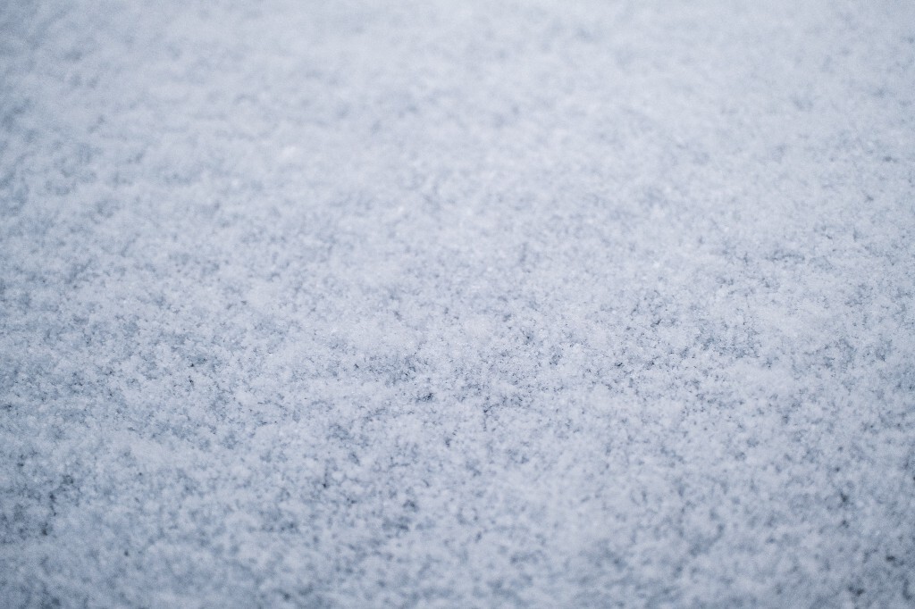 雪 雪景 自然 风光 环境 摄影 白雪 雪花 2024的第一场雪