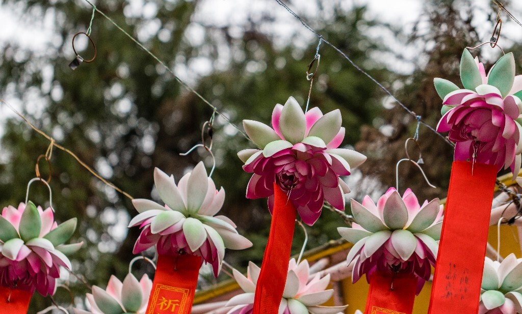 新年祈福带 祈福带 新年 寺庙 风光 旅行 街拍 祈福条 莲花