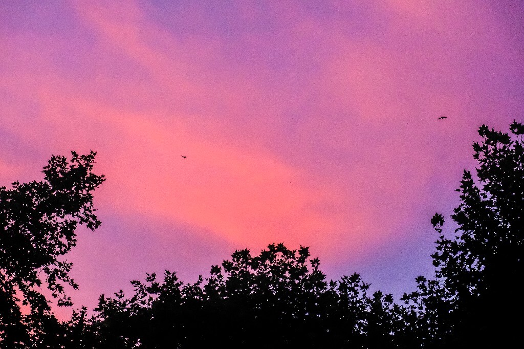 夕阳 天空 云彩 自然 日出日落 旅行 风光 色彩 自然风光