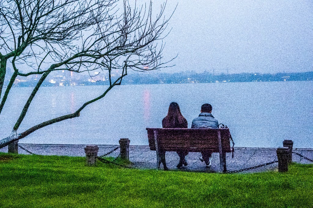 柳树 风光 自然 西湖风光 植物 叶子 柳叶 旅行 摄影 西湖柳树 背影 桃树