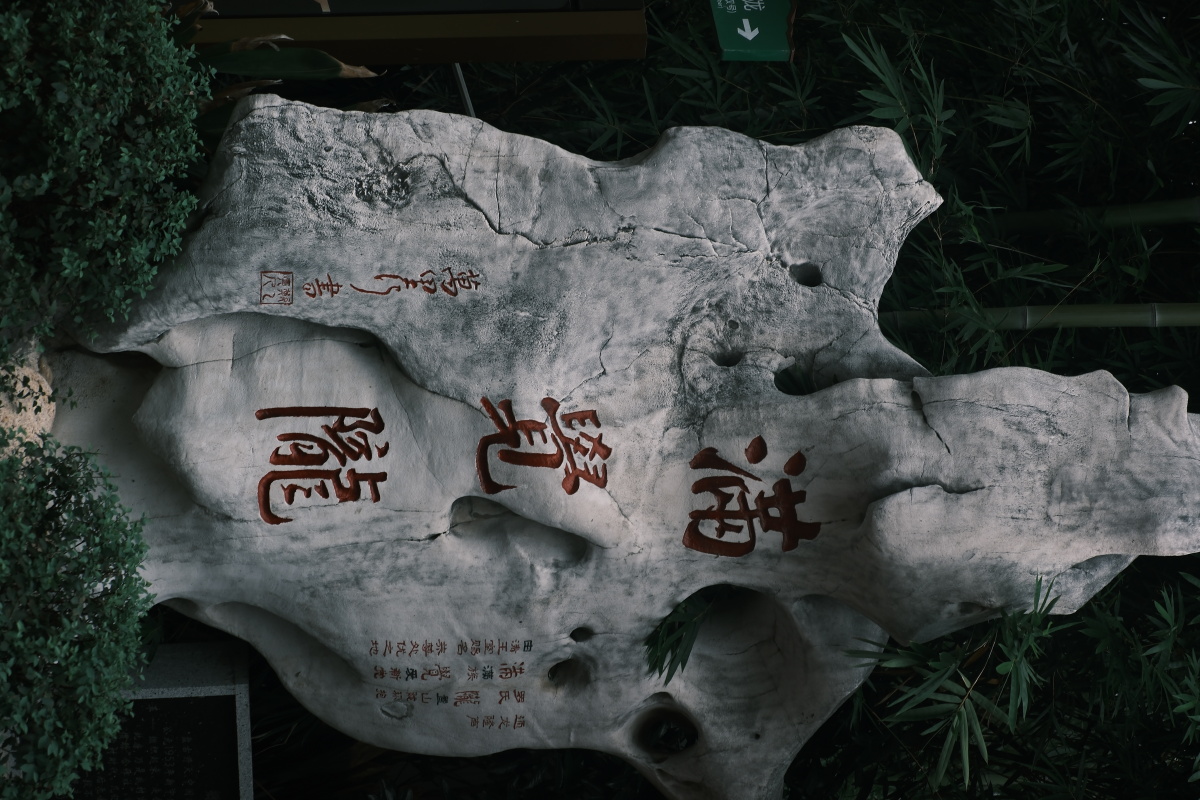 桂花 富士直出 风光 花朵花卉 风光摄影  桂花摄影 满觉陇