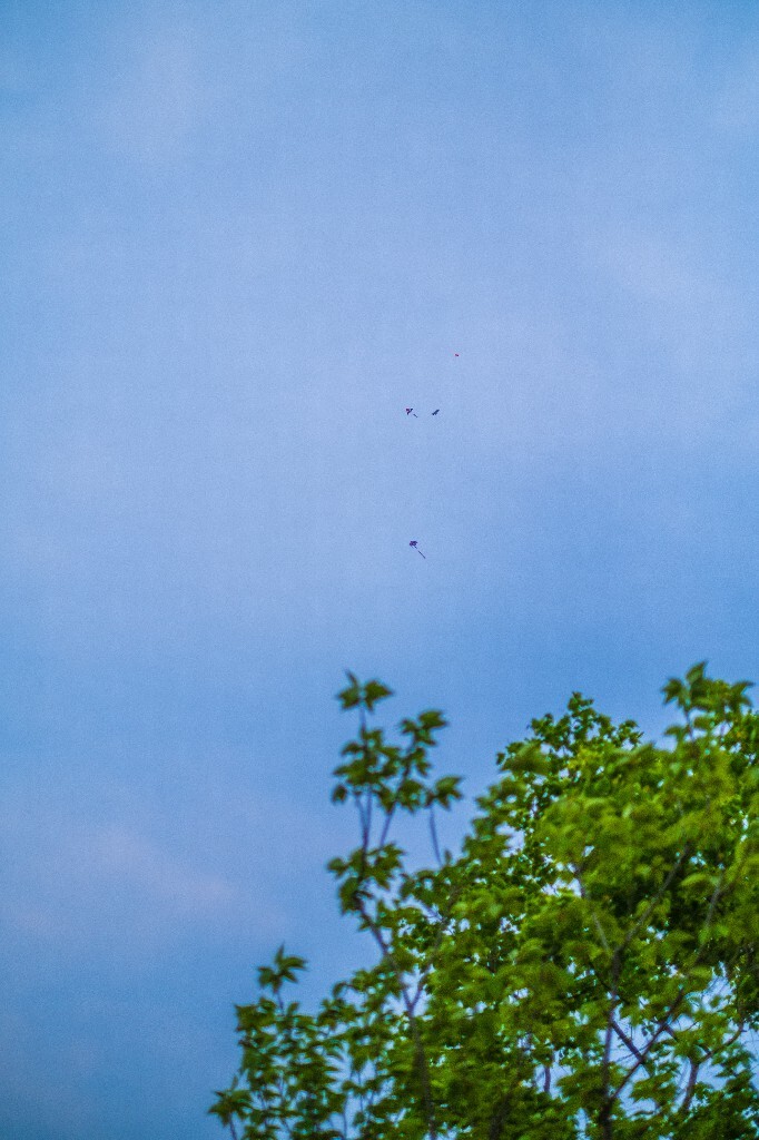 风筝 摄影 风光 自然 手工 旅行 户外 天空 蓝天白云