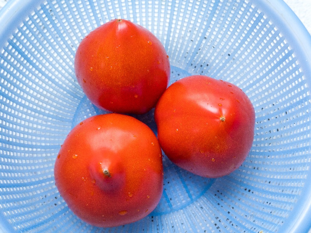 西红柿 水果西红柿 番茄 水果 摄影
