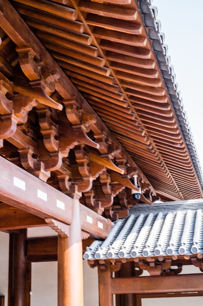 灯笼 建筑 摄影 旅行 德售宫 城市建筑 建筑物