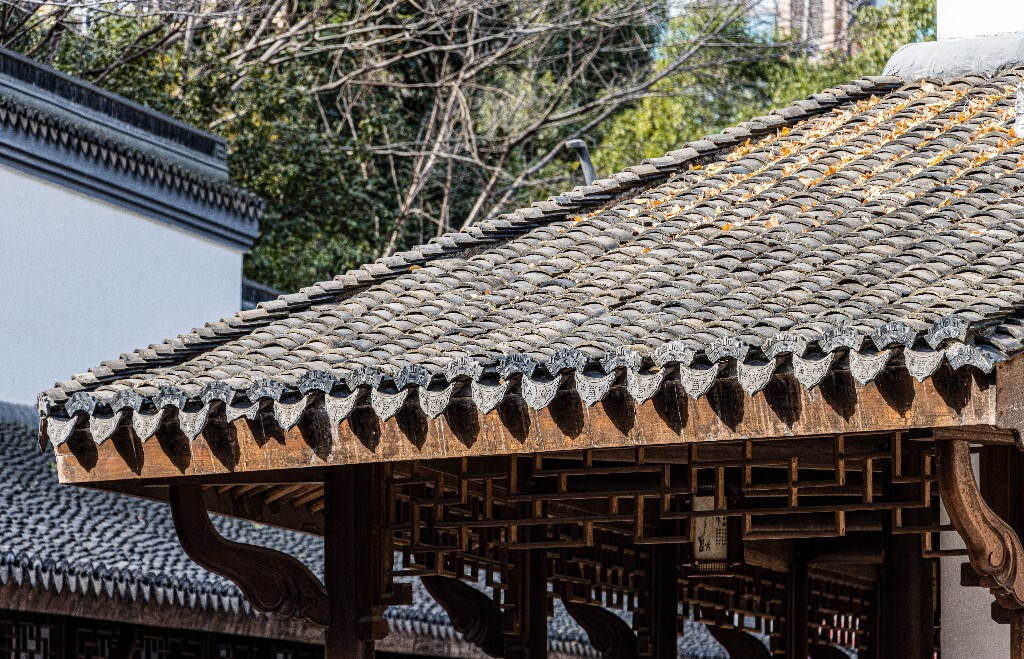 建筑 房檐 瓦片 古建筑 老街 街道 彭埠老街 房屋 摄影