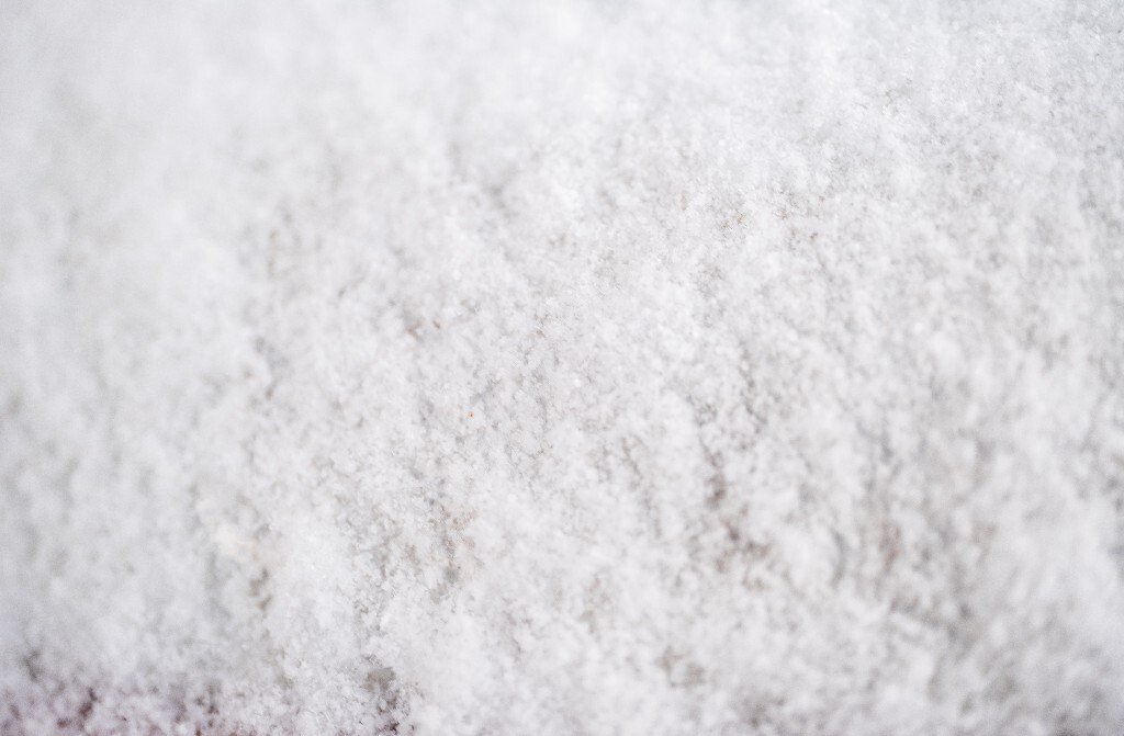 雪 雪景 自然 风光 环境 摄影 白雪 雪花 2024的第一场雪