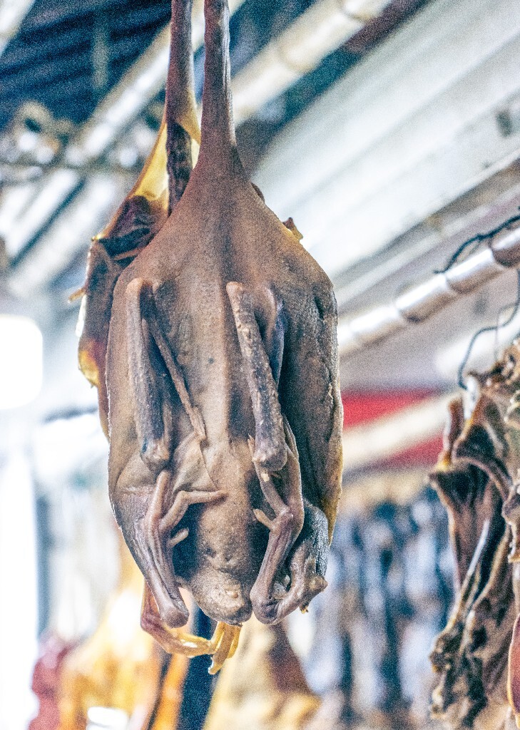 腊肉 腊味 食物 美食 摄影 年味 旅行 街拍 肉 色彩