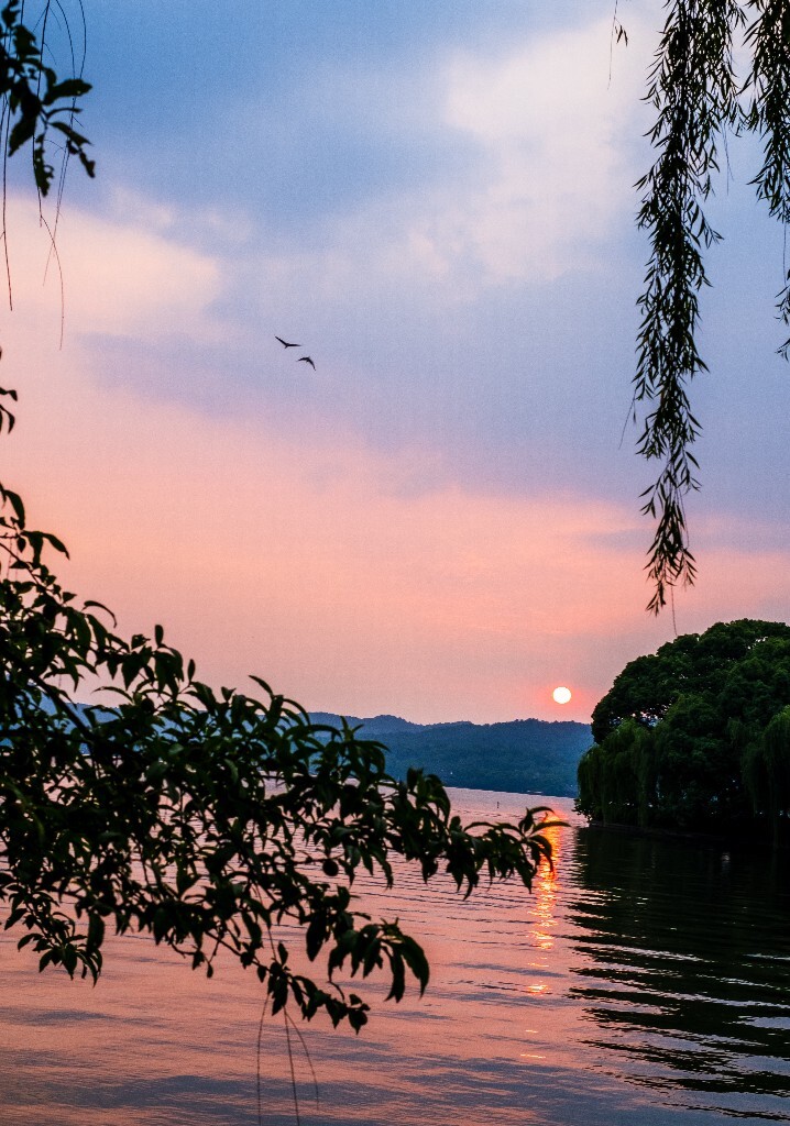 夕阳 西湖夕阳 风光 自然 日出日落 阳光 鸟 夕阳余晖 夕阳无限好 旅行