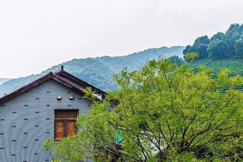 茶园风光 自然 风光 摄影 自然风光 龙井茶园 建筑 茶趣亭 亭子