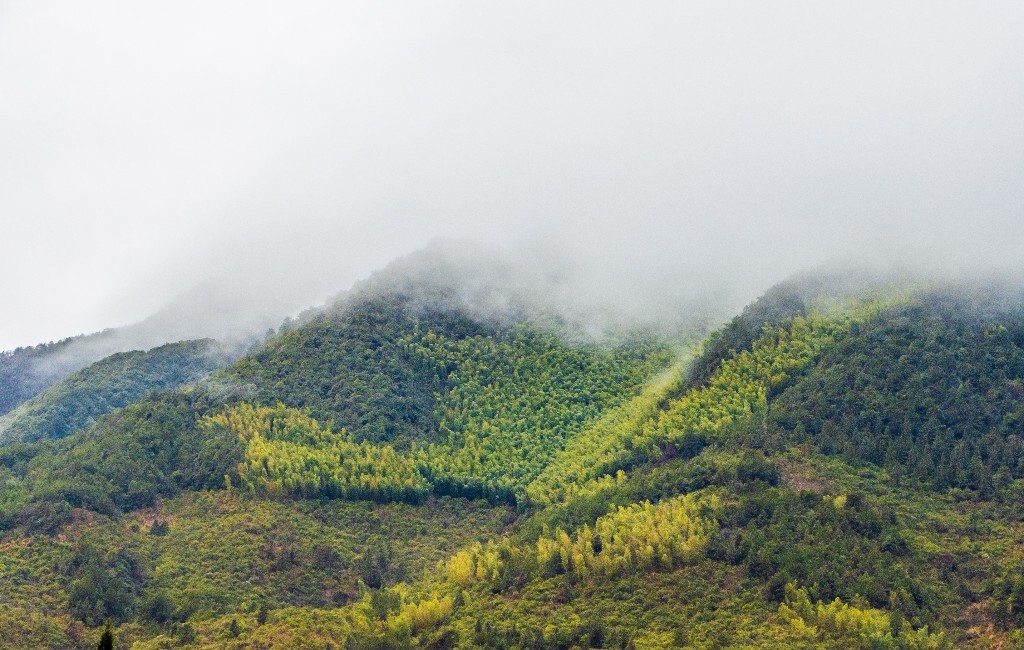 风光 自然 摄影 自然风光  雾气 云雾 旅行 