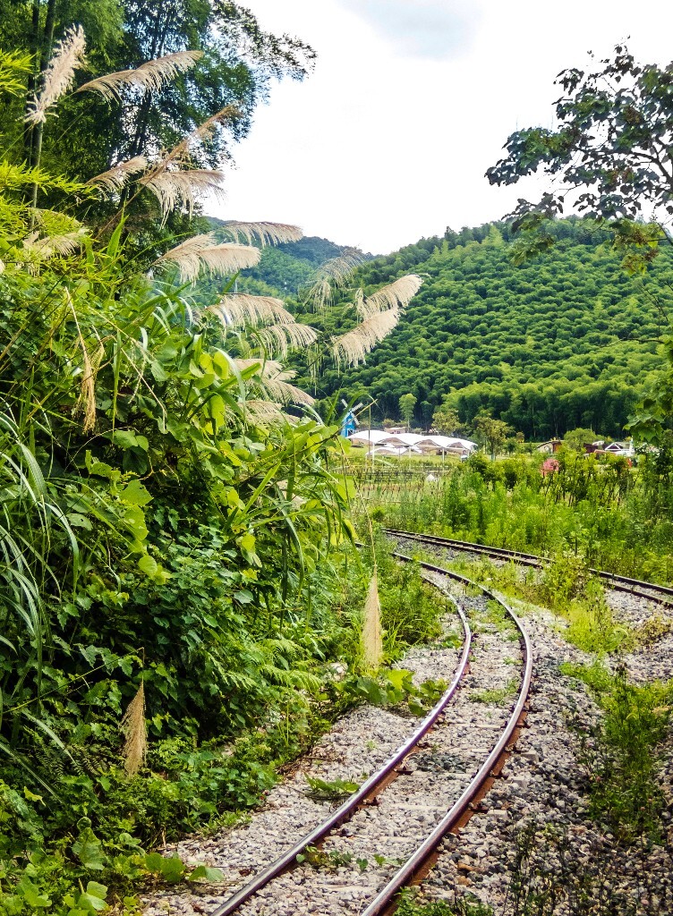自然风光 风光 自然 旅行 摄影 草干山风光 山水 青山 铁轨 轨道