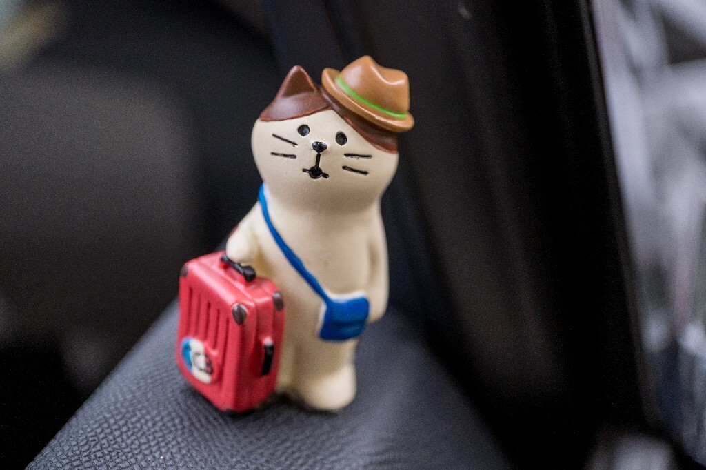 猫 旅行 旅行的猫  行李箱  帽子 猫