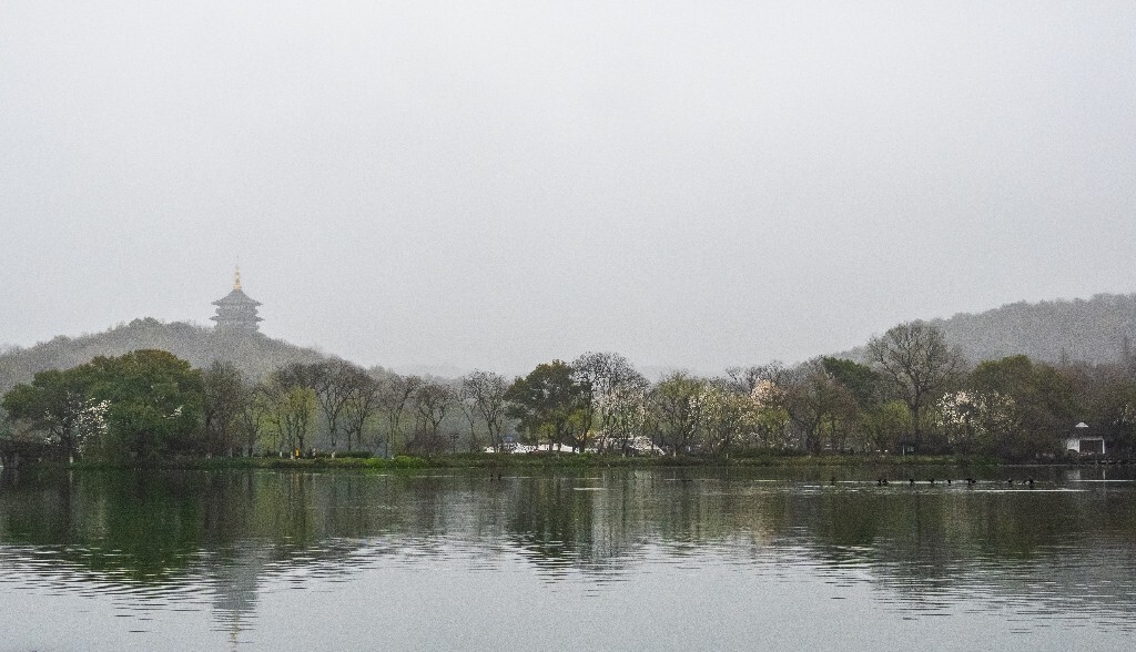 西湖 风光 旅行 雷锋塔 自然风光 图片 摄影