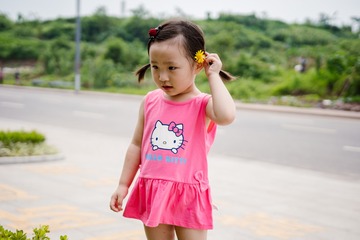45023