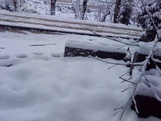 雪06