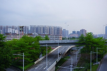 _CHA1729