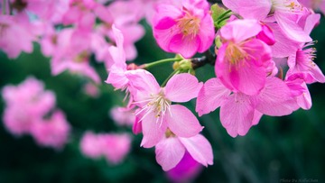 20160305-011