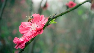 20160306-007